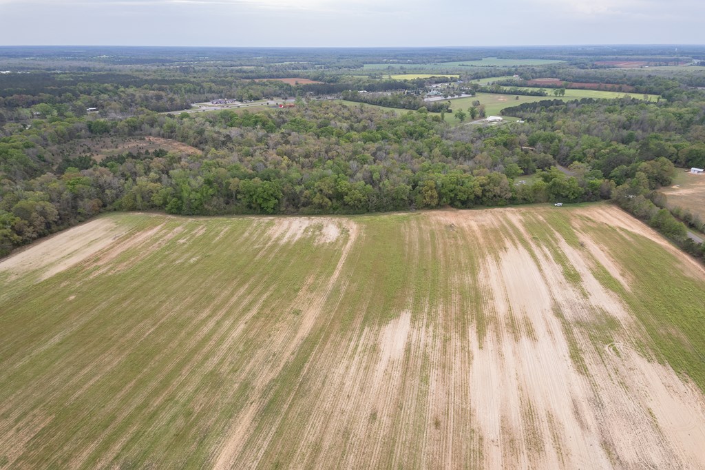 3-acres Singletary Road Slocomb, AL 36375 - Photo 11 of 15
