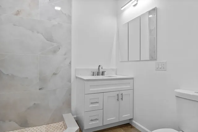 a bathroom with a sink a toilet and vanity