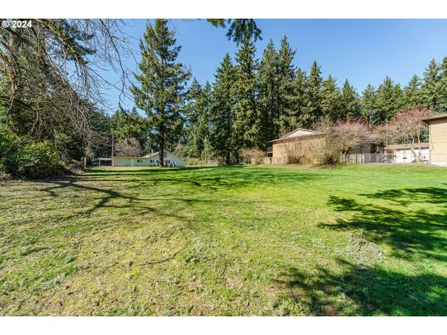 a big yard with lots of green space