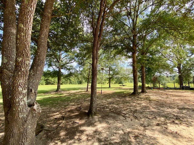 4526 Coleman Road Liberty, MS 39645 - Photo 30 of 45 Photo 30