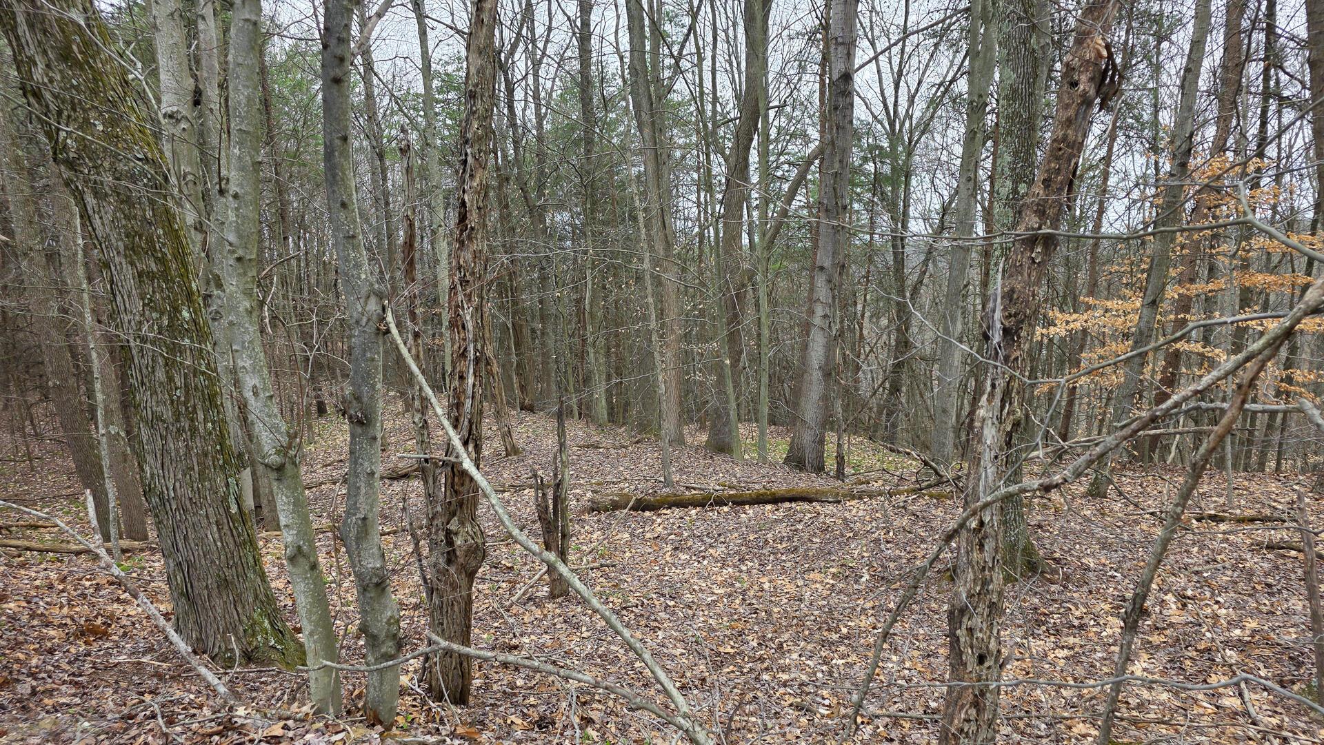 818 Campaign Poplar Road, Unit PONDS POPLAR RIDGE TRACT 4) Gallipolis, OH 45631 - Photo 22 of 24 CT-22