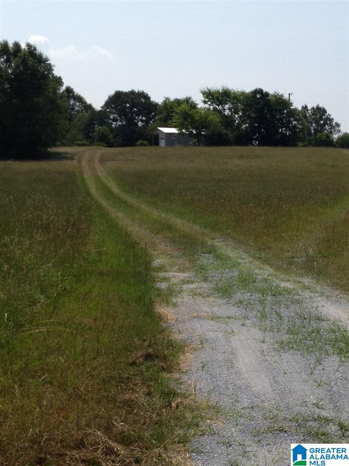 0 Grist Mill Road, Unit 1 Childersburg, AL 35044 - Photo 4 of 5