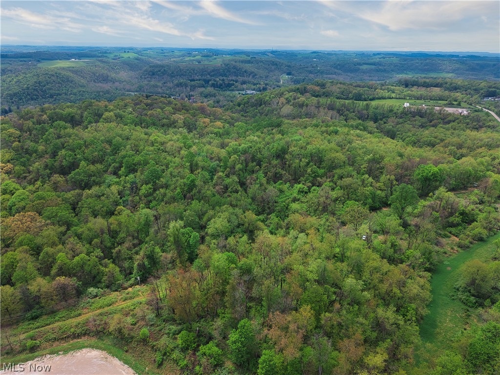 0 Bealls Ridge Wellsburg, WV 26070 - Photo 43 of 46
