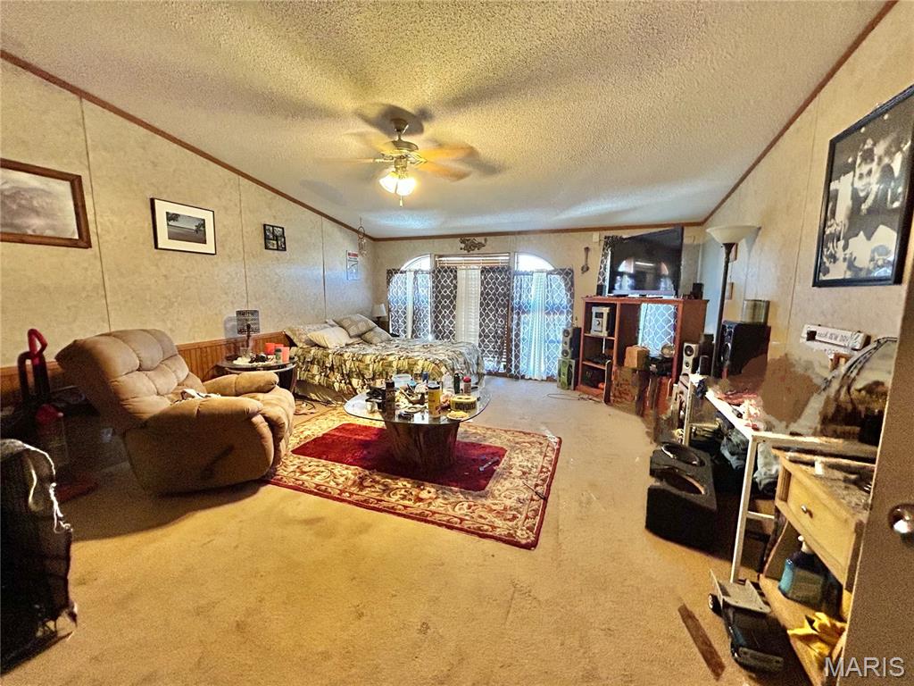 172 Cherryville Road Salem, MO 65560 - Photo 27 of 28