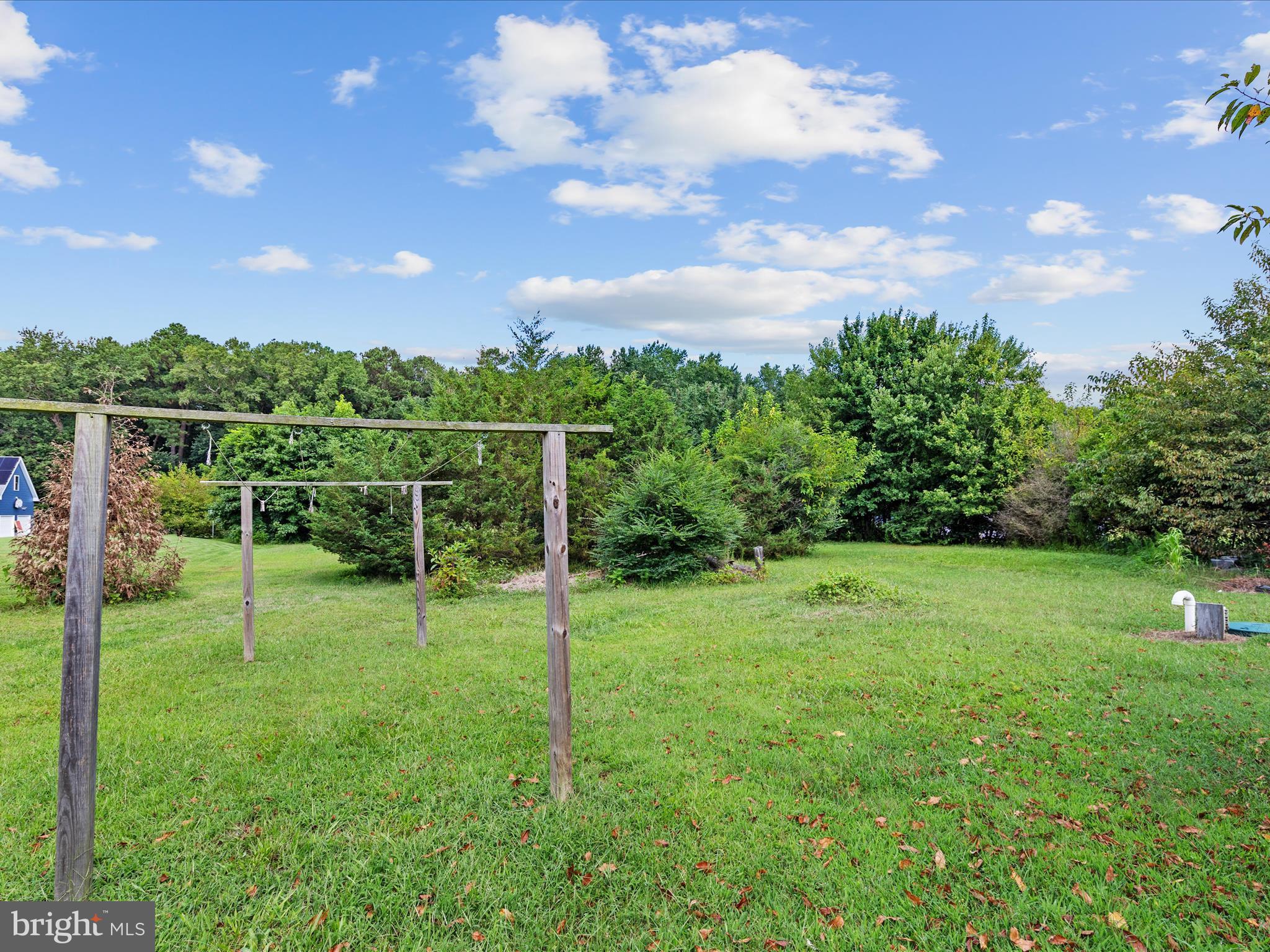 31007 Omar Road Frankford, DE 19945 - Photo 41 of 43 Backyard