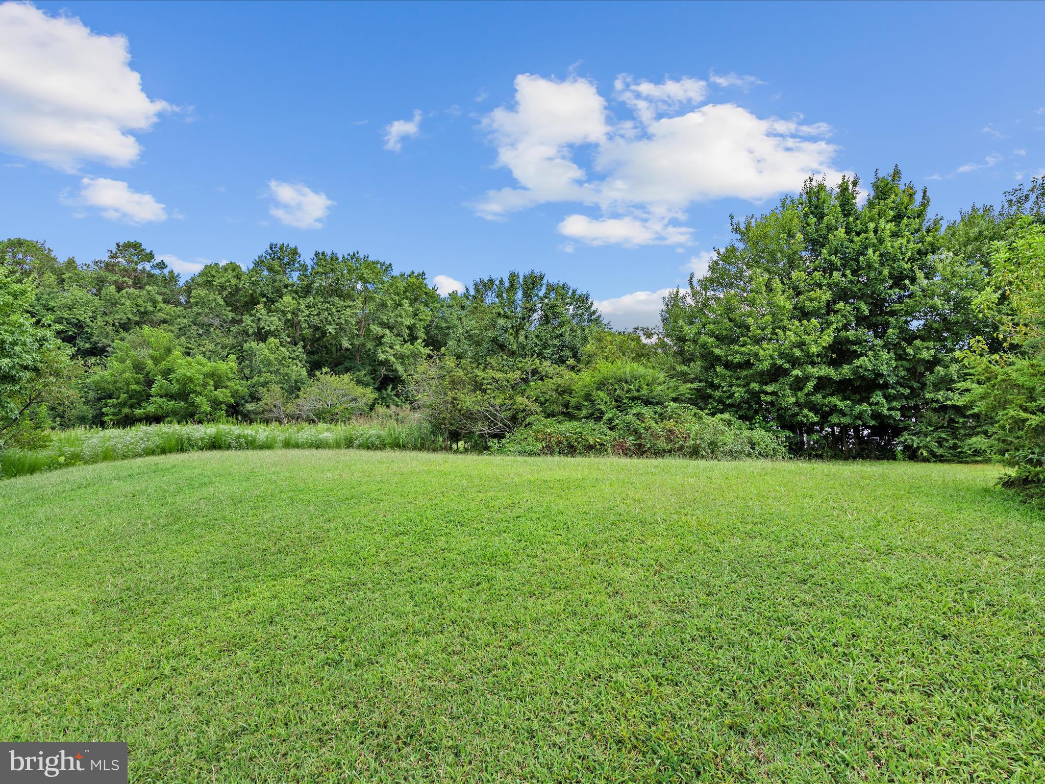 31007 Omar Road Frankford, DE 19945 - Photo 42 of 43 Backyard