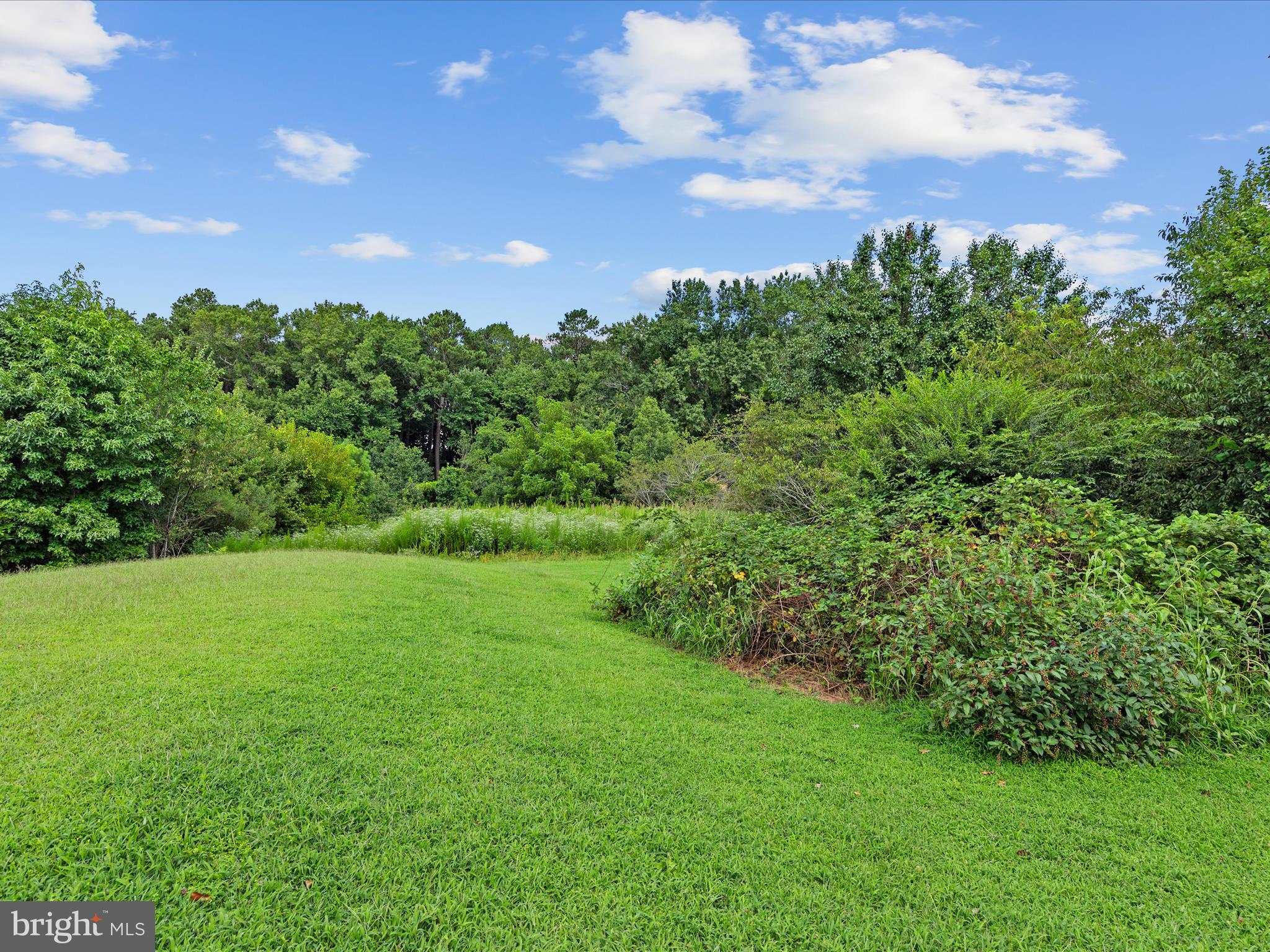 31007 Omar Road Frankford, DE 19945 - Photo 43 of 43 Backyard