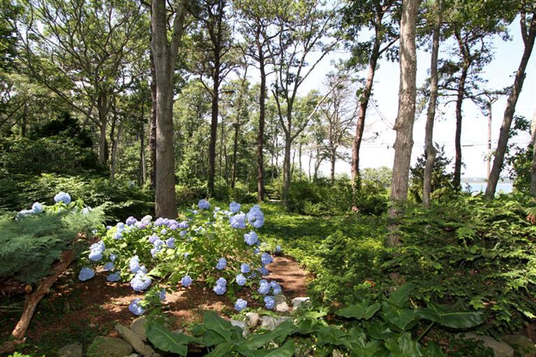 505 Scraggy Neck Road Cataumet, MA 02534 - Photo 8 of 33 a backyard of a house with lots of green space