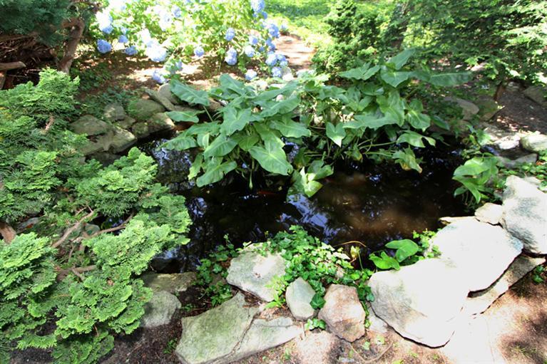 505 Scraggy Neck Road Cataumet, MA 02534 - Photo 9 of 33