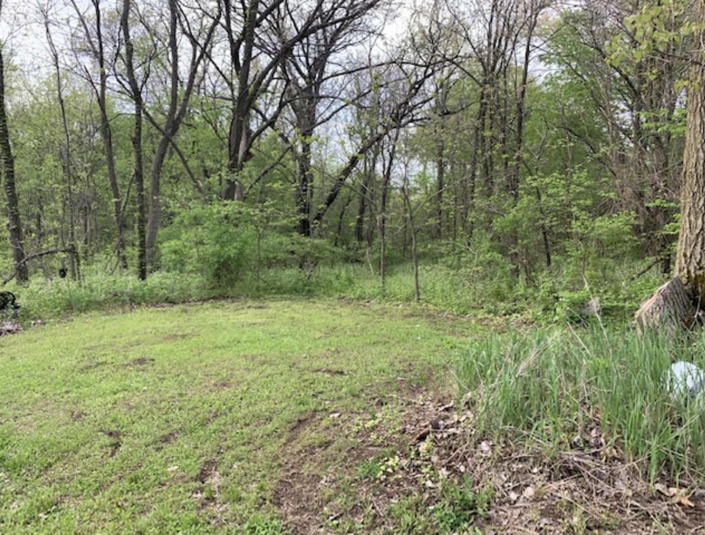 624 Morgan Road Amboy, IL 61310 - Photo 6 of 6 a view of outdoor space and green field