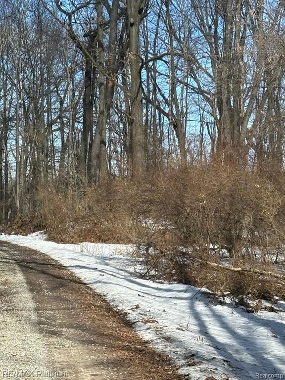 V/l Tipsico Lake Road Holly, MI 48442 - Photo 14 of 21 Gallery Image 14