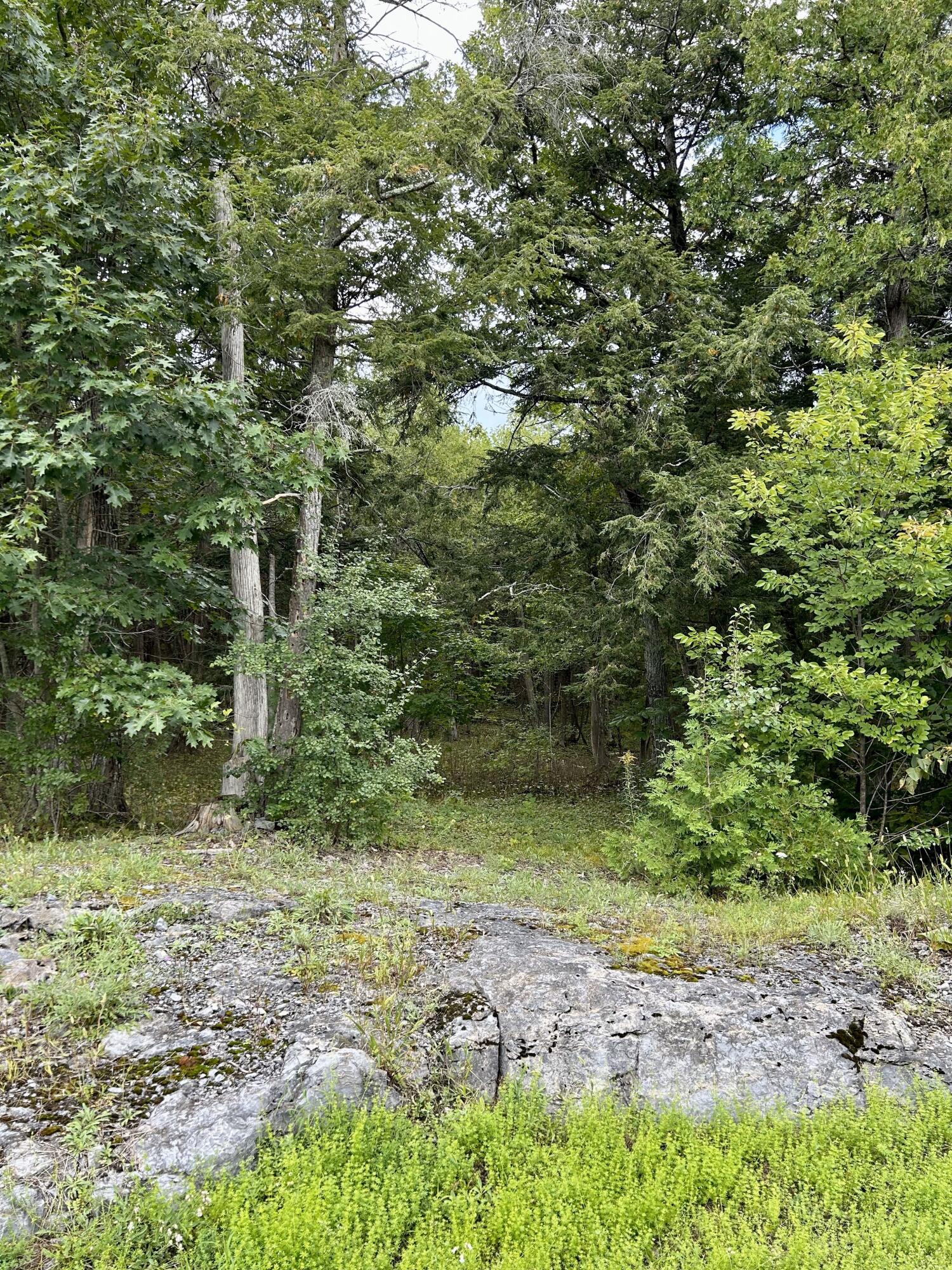 0 Bluff Point Drive Plattsburgh, NY 12901 - Photo 10 of 21 12