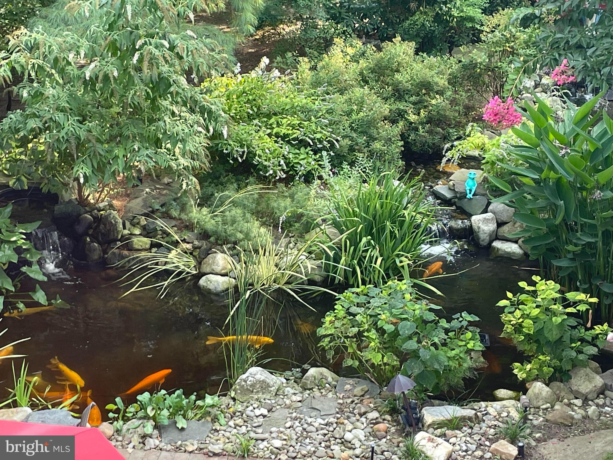 120 Dutch Road Marlton, NJ 08053 - Photo 54 of 70 Pond