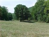 0 Hidden Valley Road, Unit T 8 Clever, MO 65631 - Photo 1 of 1 Primary Photo