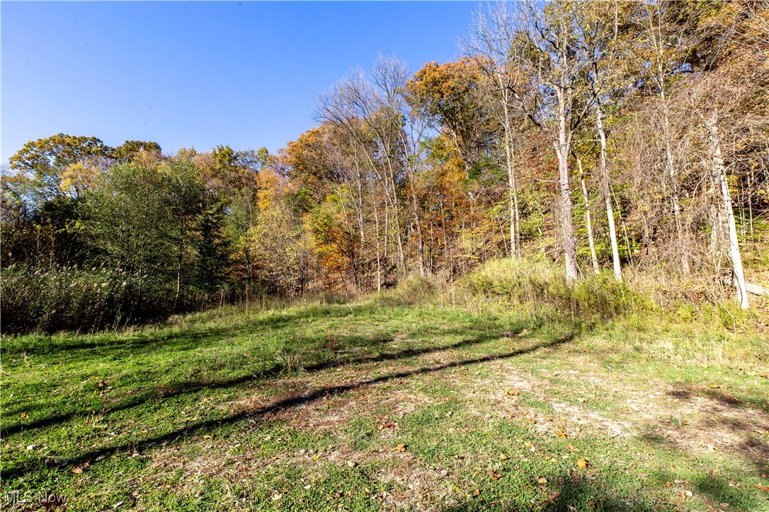3339 Yellow Creek Road Akron, OH 44313 - Photo 7 of 9