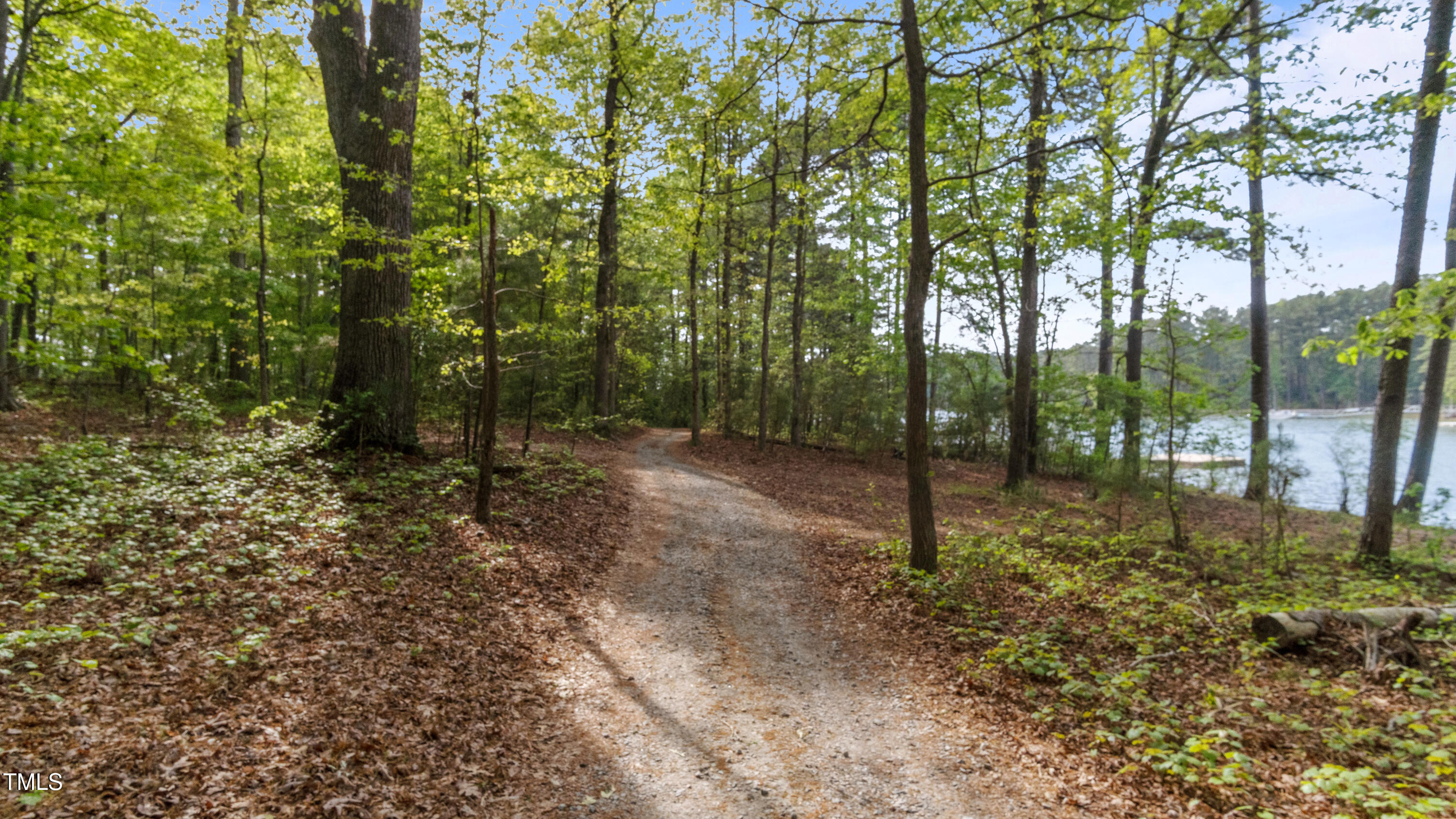 125 Walter Street Manson, NC 27553 - Photo 35 of 39 a view of a forest