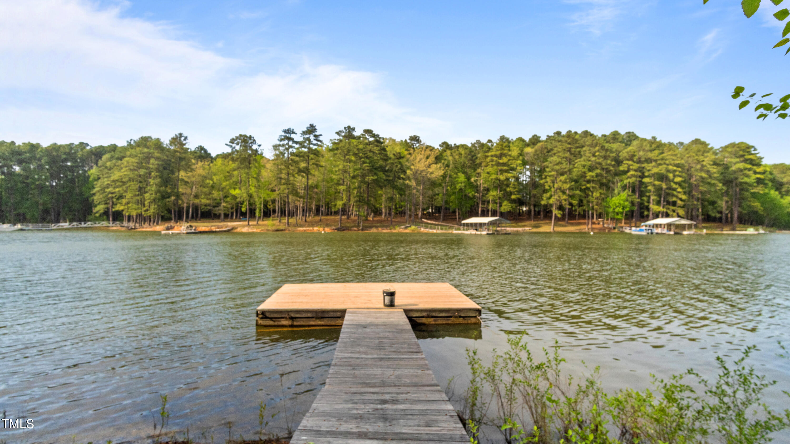 125 Walter Street Manson, NC 27553 - Photo 36 of 39 a view of a lake with houses