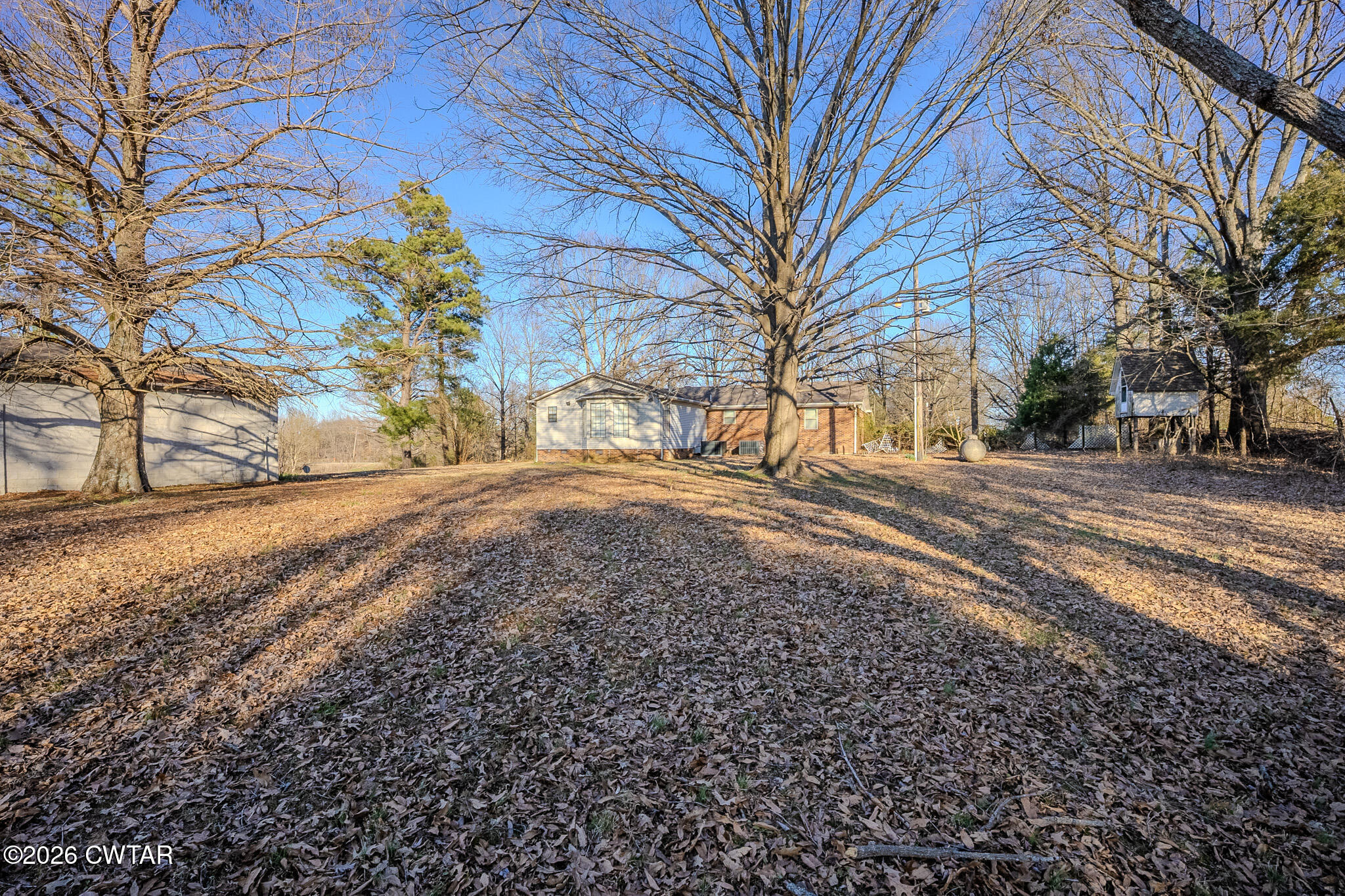 3559 Union Mercer Road Brownsville, TN 38012 - Photo 20 of 24 a view of dirt yard with a large tree
