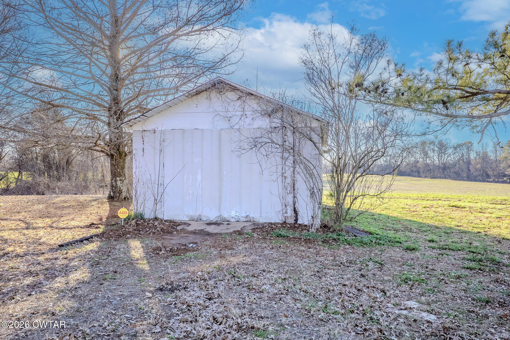 3559 Union Mercer Road Brownsville, TN 38012 - Photo 3 of 24 a view of a backyard with large trees