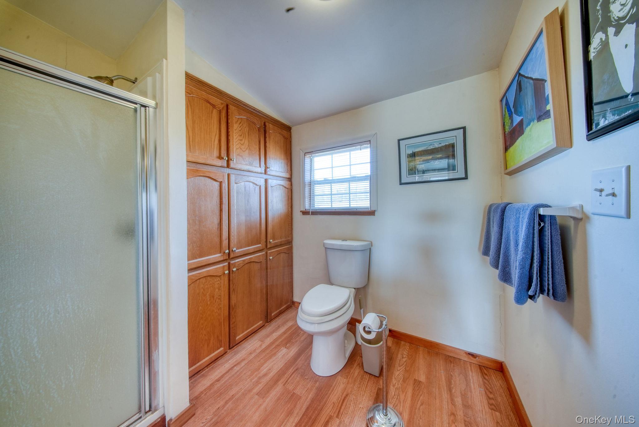 221 Gabel Road Callicoon, NY 12723 - Photo 36 of 44 a bathroom with a toilet and a shower