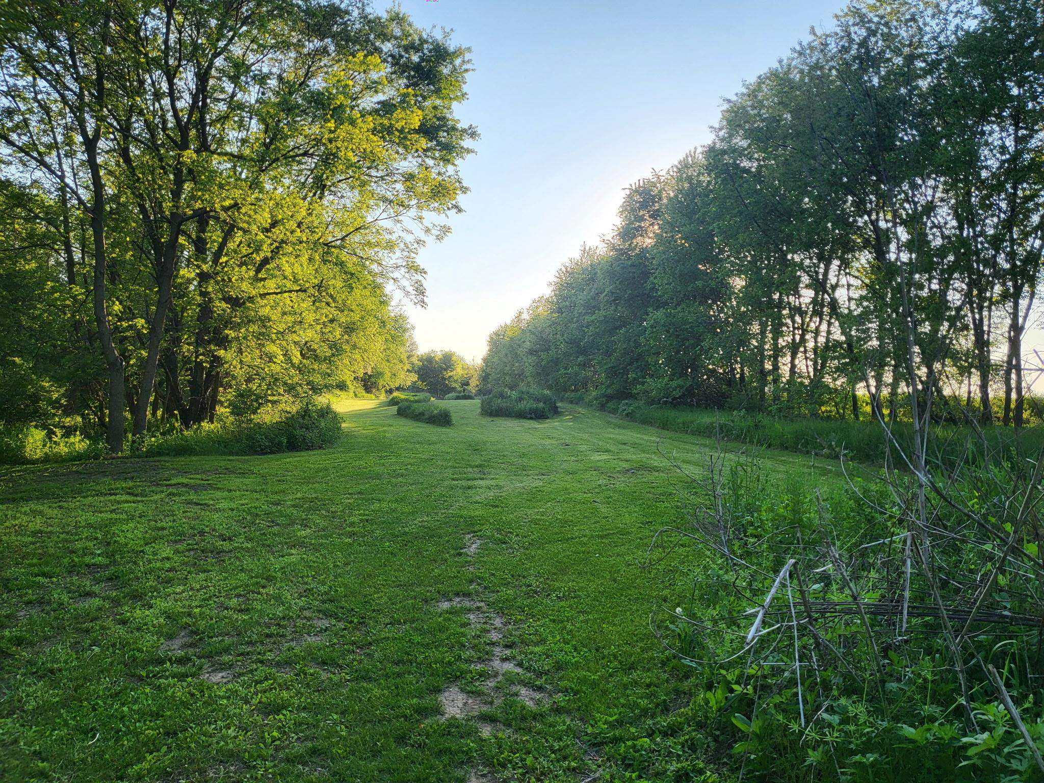 4414 North Tower Road Freeport, IL 61032 - Photo 7 of 8 a view of a grassy field with trees