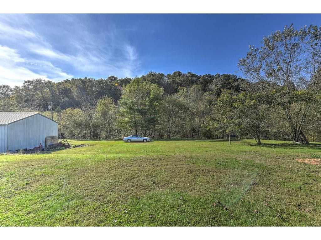 2572 Hickory Tree Road Bluff City, TN 37618 - Photo 4 of 28 Level back yard