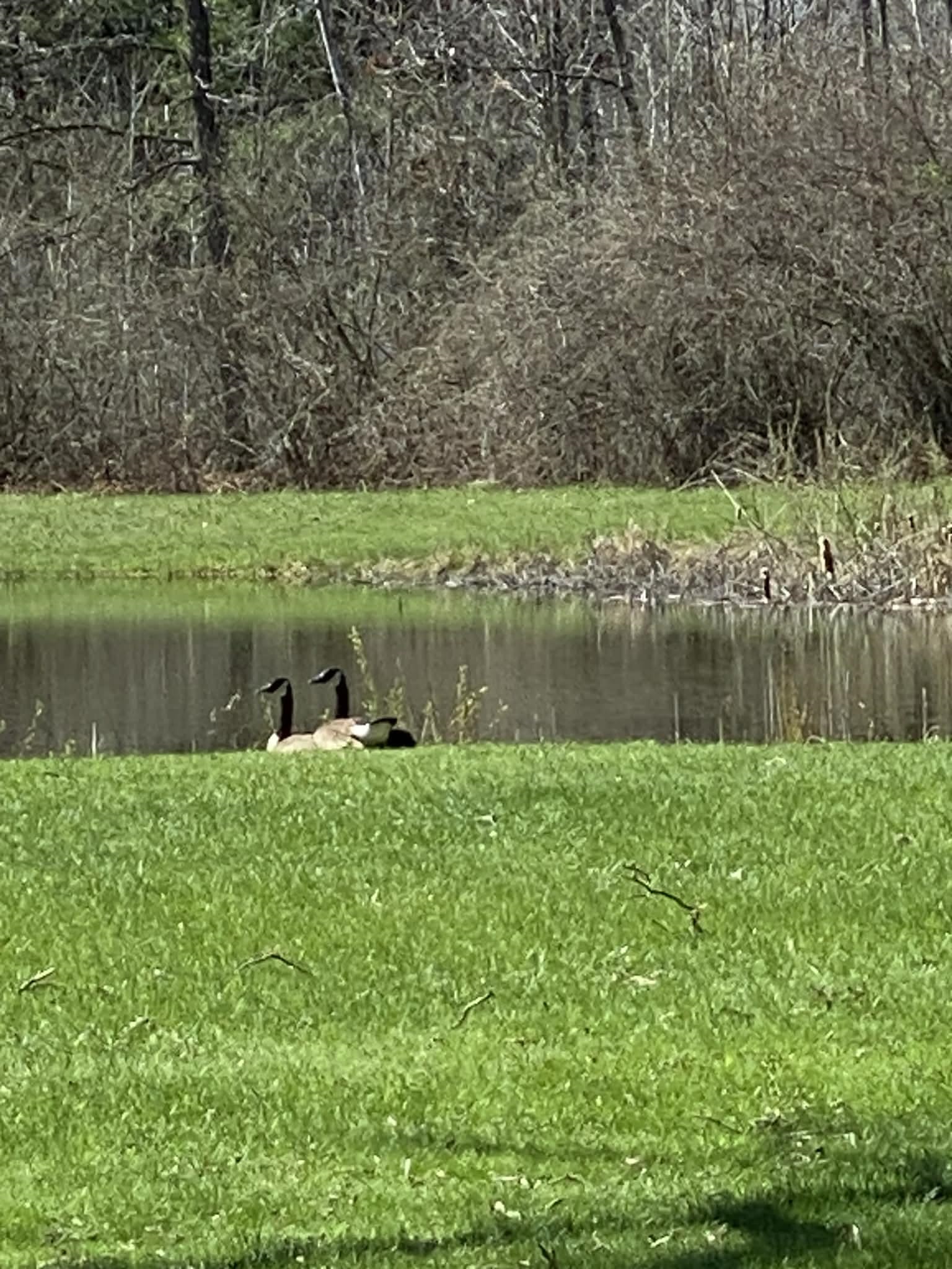 4145 West Shearer Road Coleman, MI 48618 - Photo 34 of 35