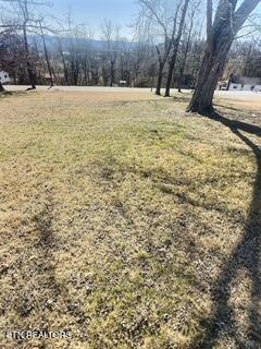 31 & 32) Road La Follette, TN 37766 - Photo 2 of 2 loop 31-32 2
