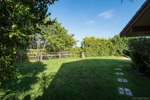 a view of yard with green space