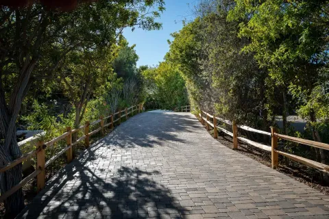 a view of an outdoor space and yard
