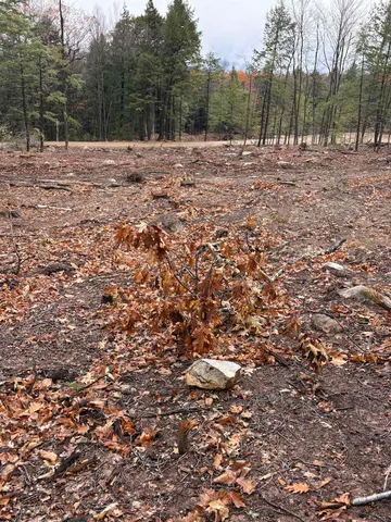 $64,900 | 8 Sugar Loaf Drive, Unit 12, Ossipee, NH 03814