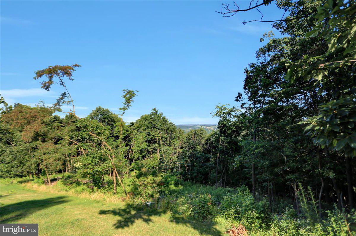 12565 Stone Crest Circle Waynesboro, PA 17268 - Photo 12 of 130