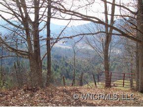Tbd Tbd Cedar Cliff Road Marshall, NC 28753 - Photo 2 of 5 a view of a forest