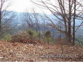 Tbd Tbd Cedar Cliff Road Marshall, NC 28753 - Photo 3 of 5 a backyard of a house with lots of green space