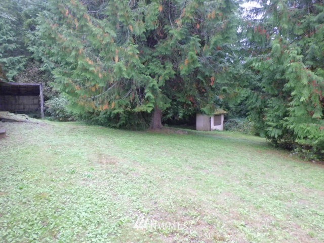 578 Brown Road East Chehalis, WA 98532 - Photo 3 of 16 a backyard of a house with lots of green space