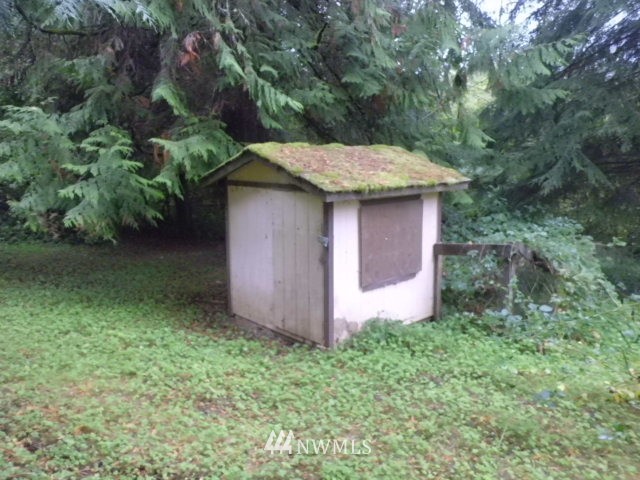 578 Brown Road East Chehalis, WA 98532 - Photo 5 of 16 a backyard of a house with lots of green space