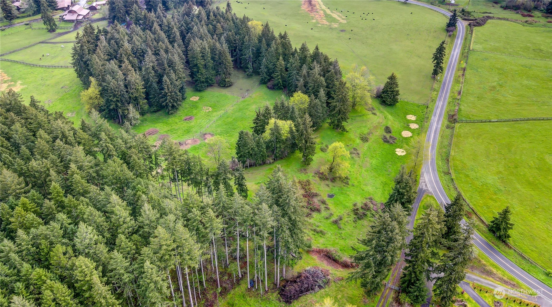 13803 Solberg Road Southeast Yelm, WA 98597 - Photo 12 of 18 Gallery Image 12