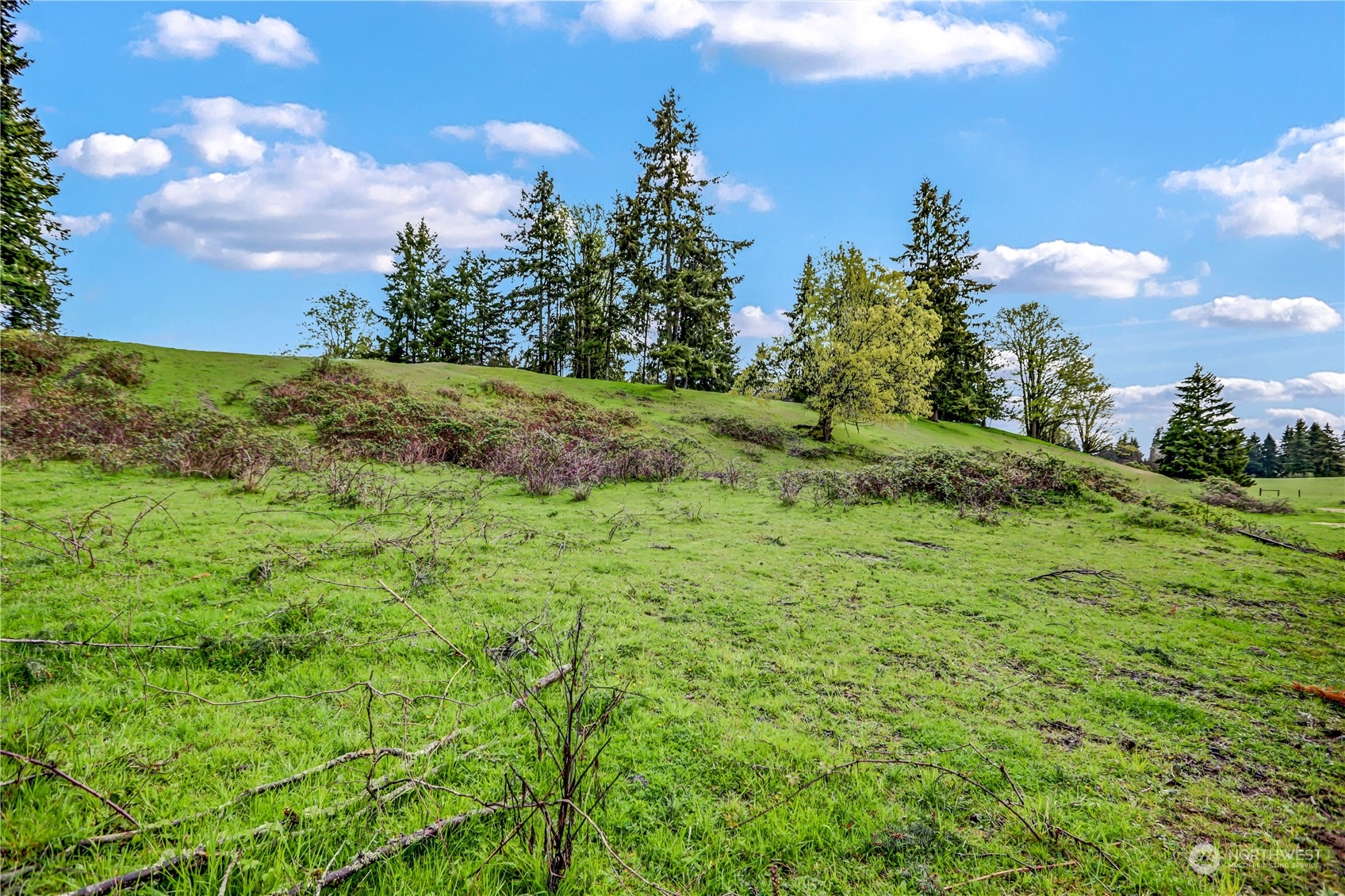 13803 Solberg Road Southeast Yelm, WA 98597 - Photo 13 of 18 Gallery Image 13