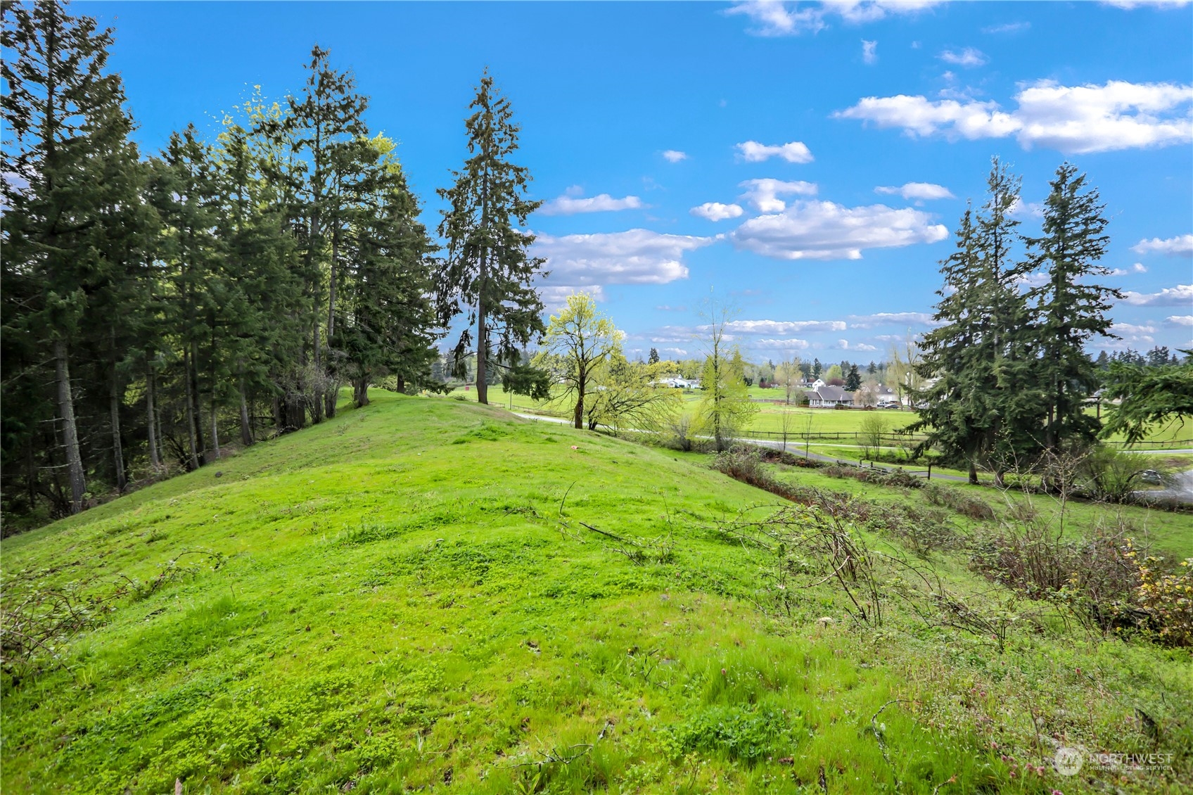 13803 Solberg Road Southeast Yelm, WA 98597 - Photo 15 of 18 Gallery Image 15