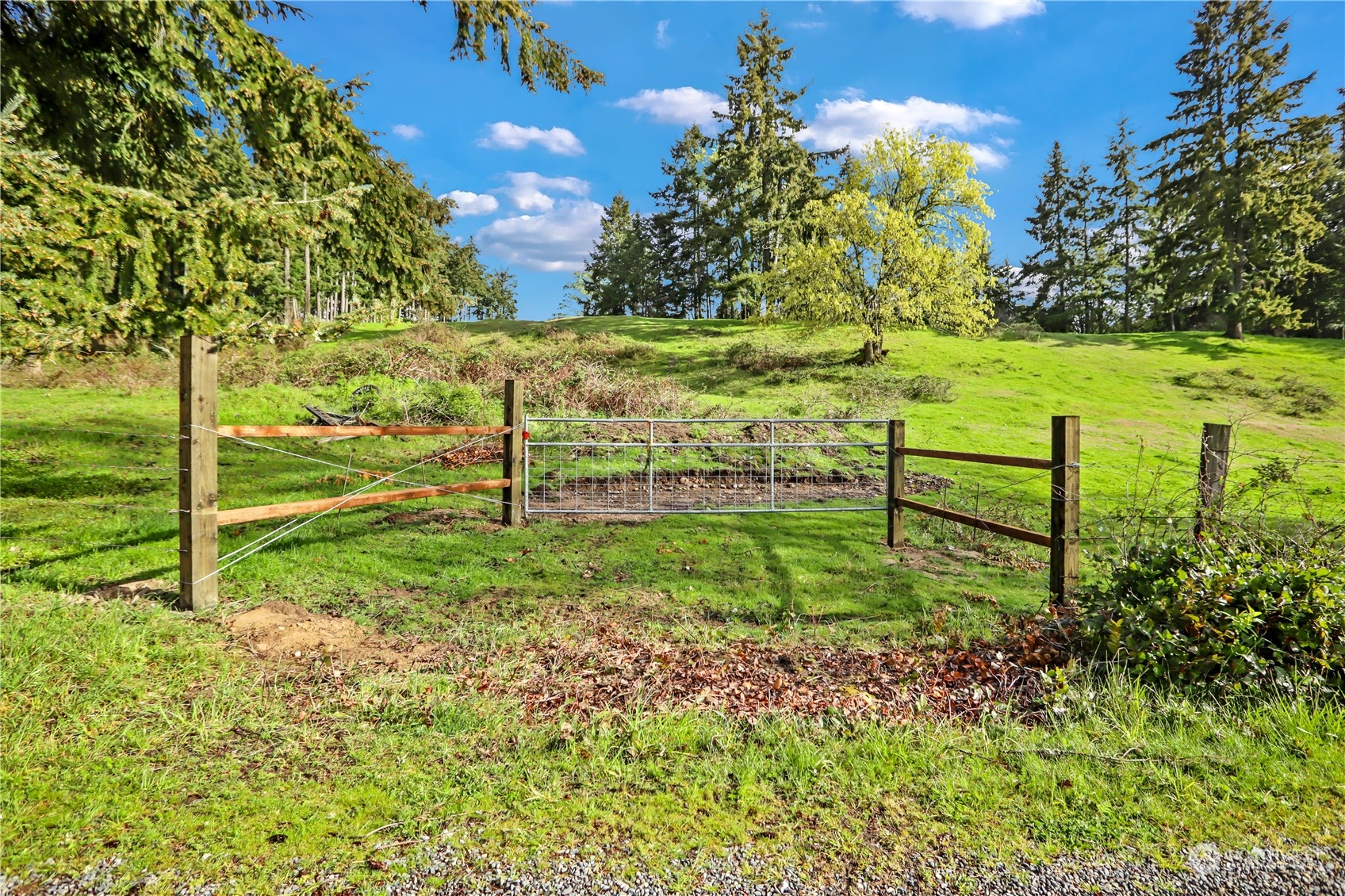 13803 Solberg Road Southeast Yelm, WA 98597 - Photo 16 of 18 Gallery Image 16