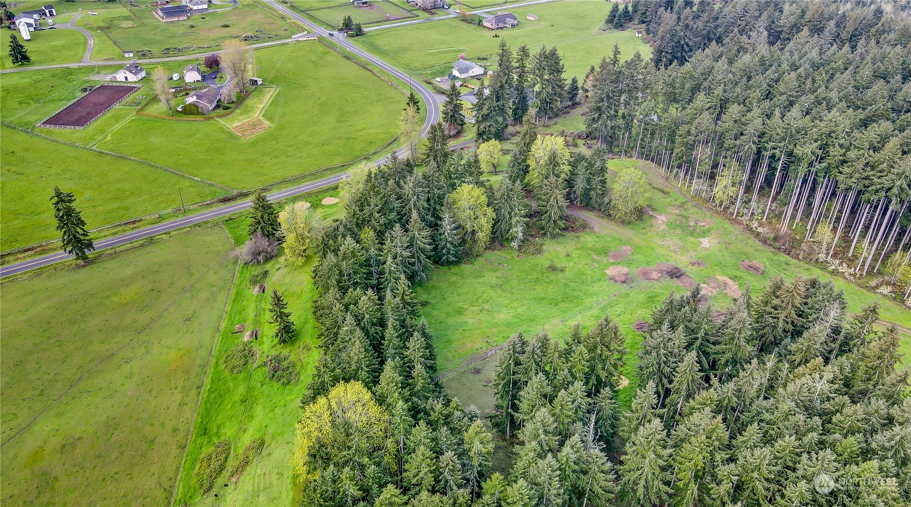 13803 Solberg Road Southeast Yelm, WA 98597 - Photo 2 of 18 Gallery Image 2