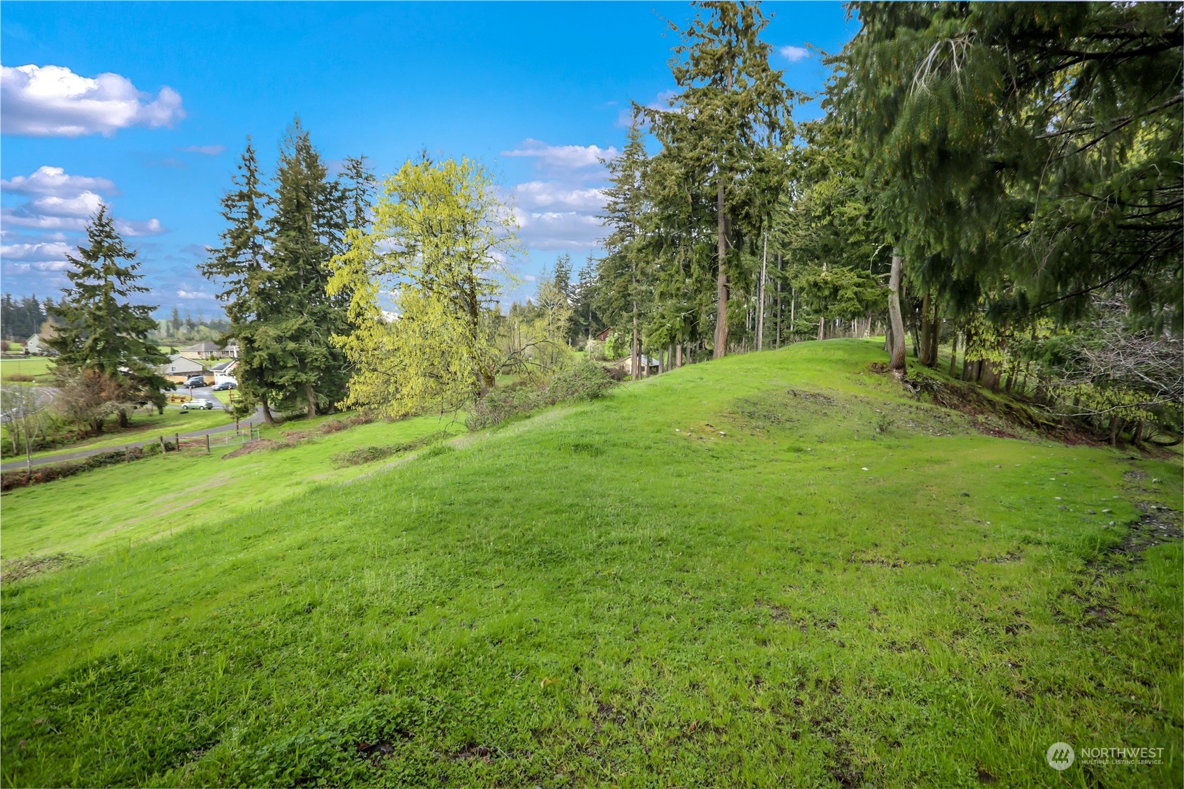 13803 Solberg Road Southeast Yelm, WA 98597 - Photo 5 of 18 Gallery Image 5