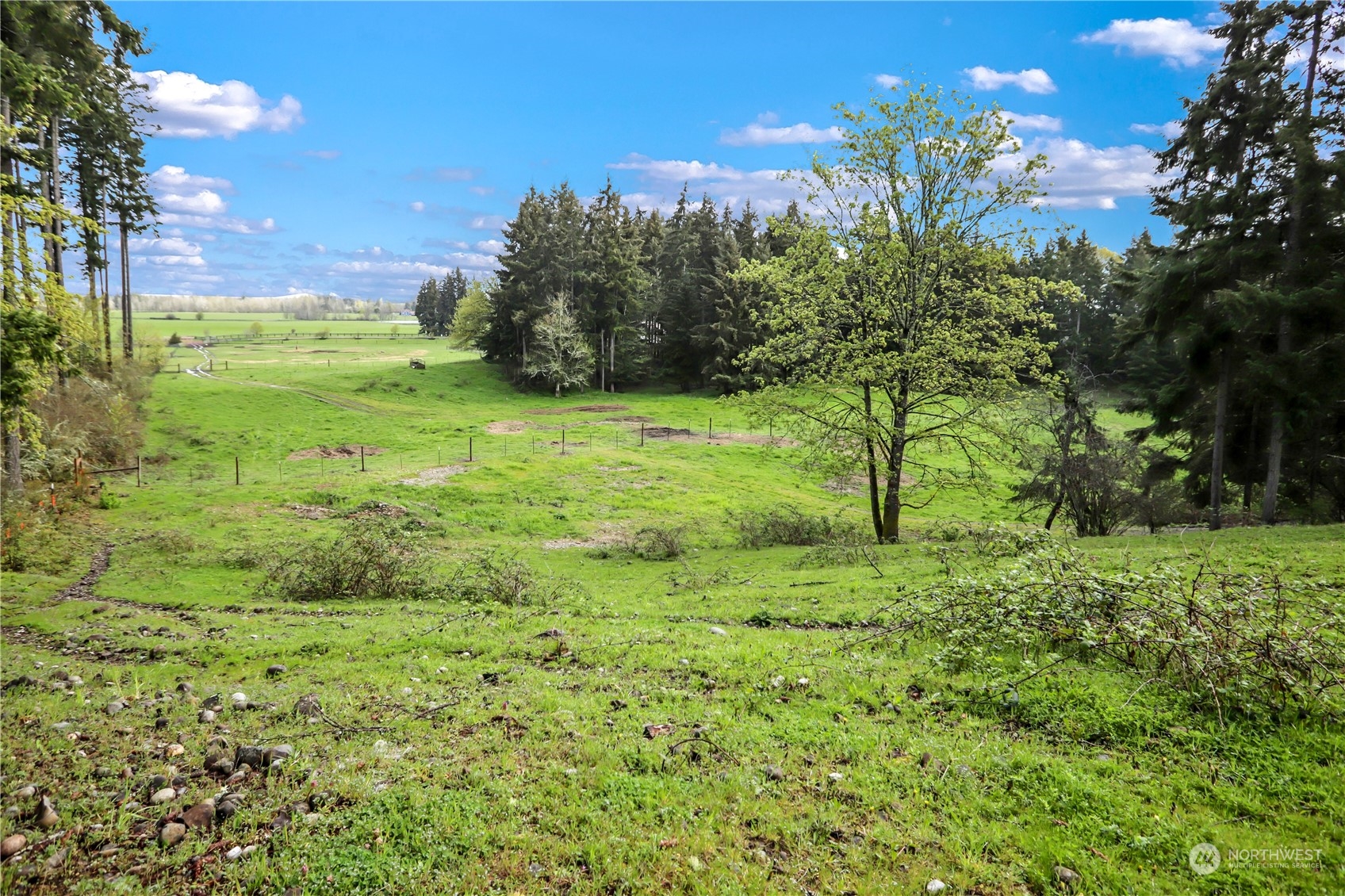 13803 Solberg Road Southeast Yelm, WA 98597 - Photo 7 of 18 Gallery Image 7