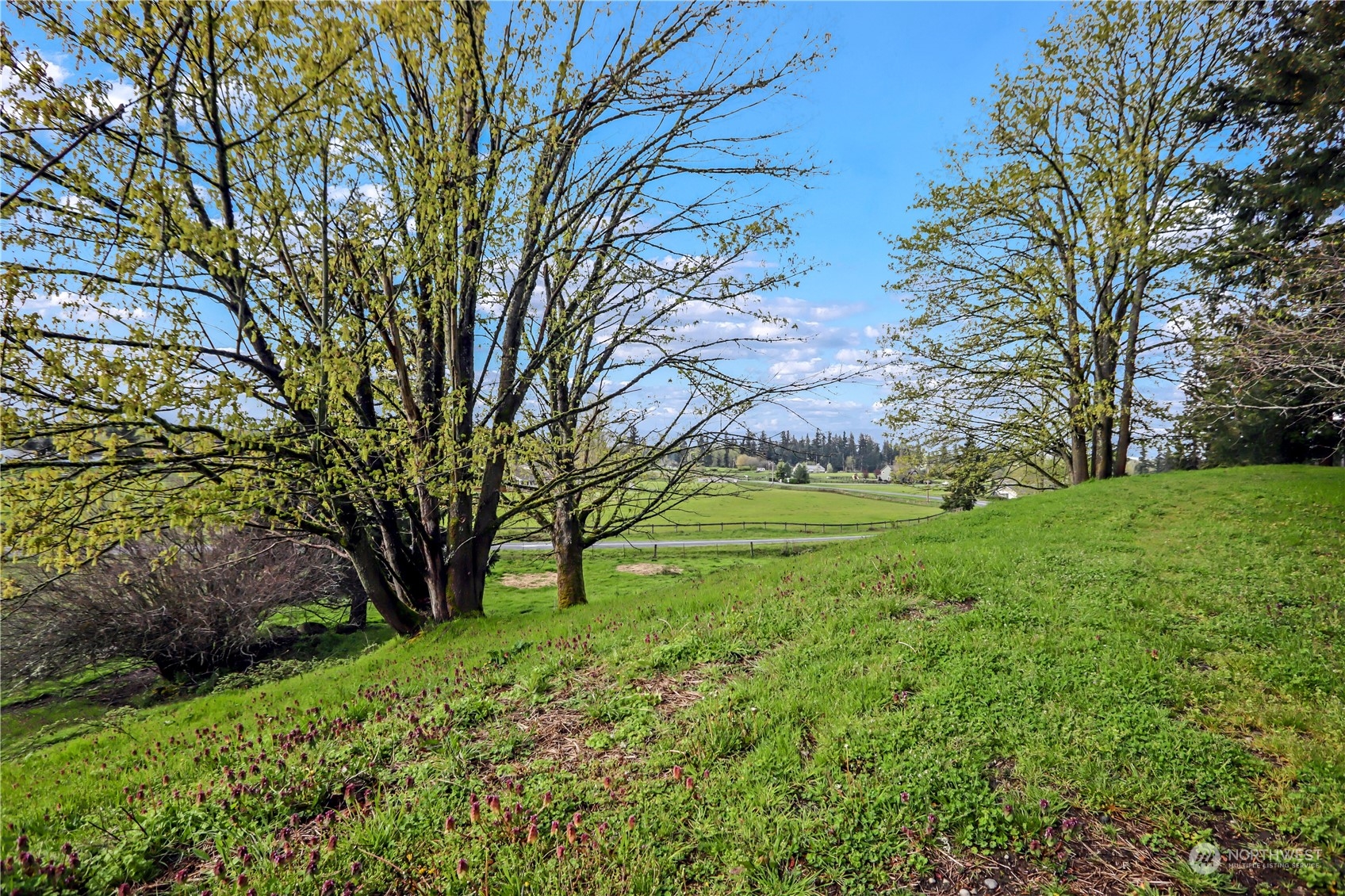 13803 Solberg Road Southeast Yelm, WA 98597 - Photo 8 of 18 Gallery Image 8