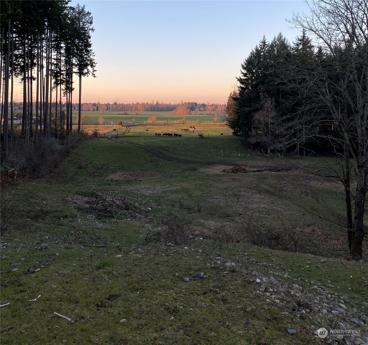 13803 Solberg Road Southeast Yelm, WA 98597 - Photo 10 of 18 Gallery Image 10