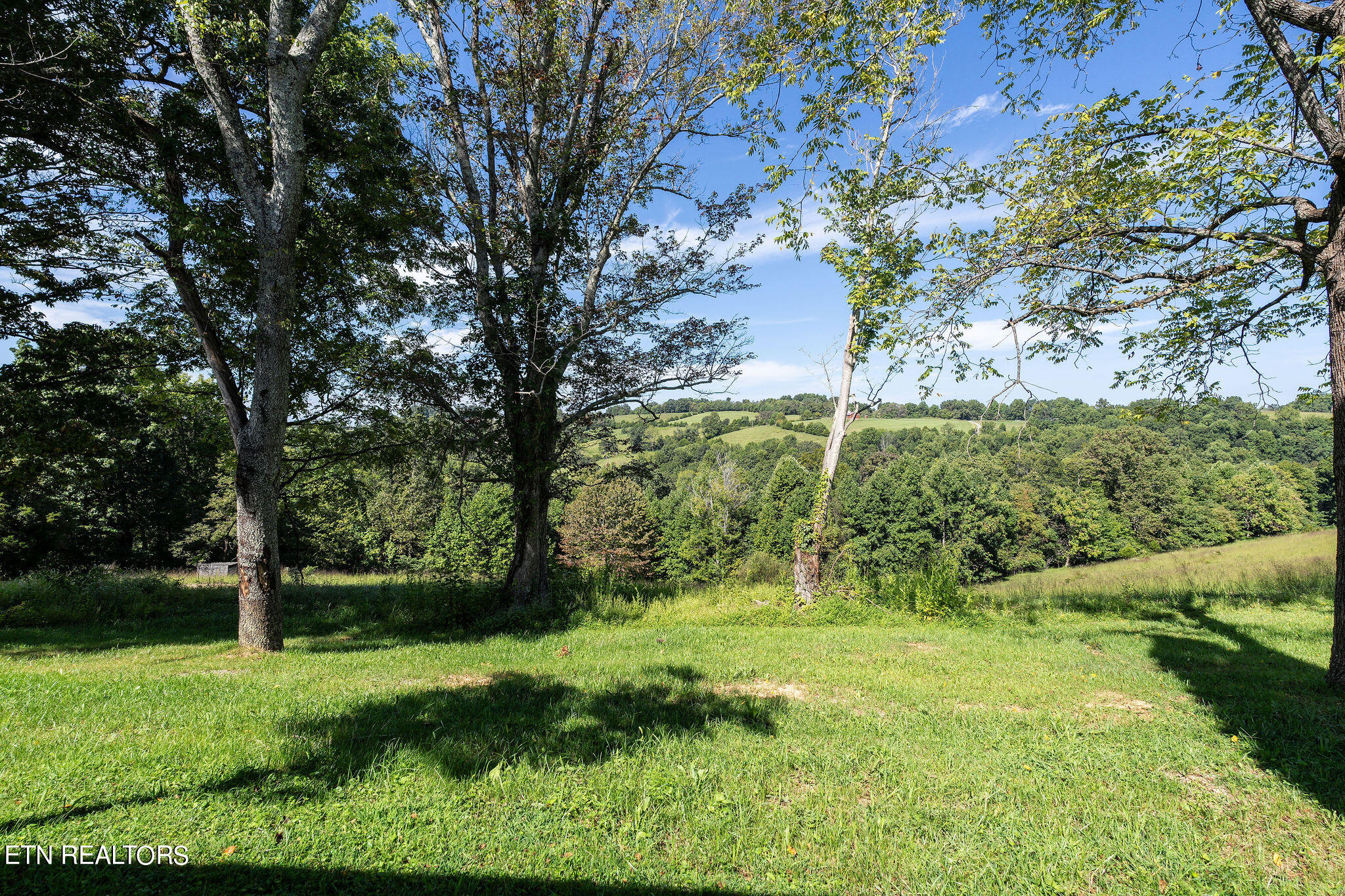 284 John Deere Road Harrogate, TN 37752 - Photo 22 of 60 DSC02466