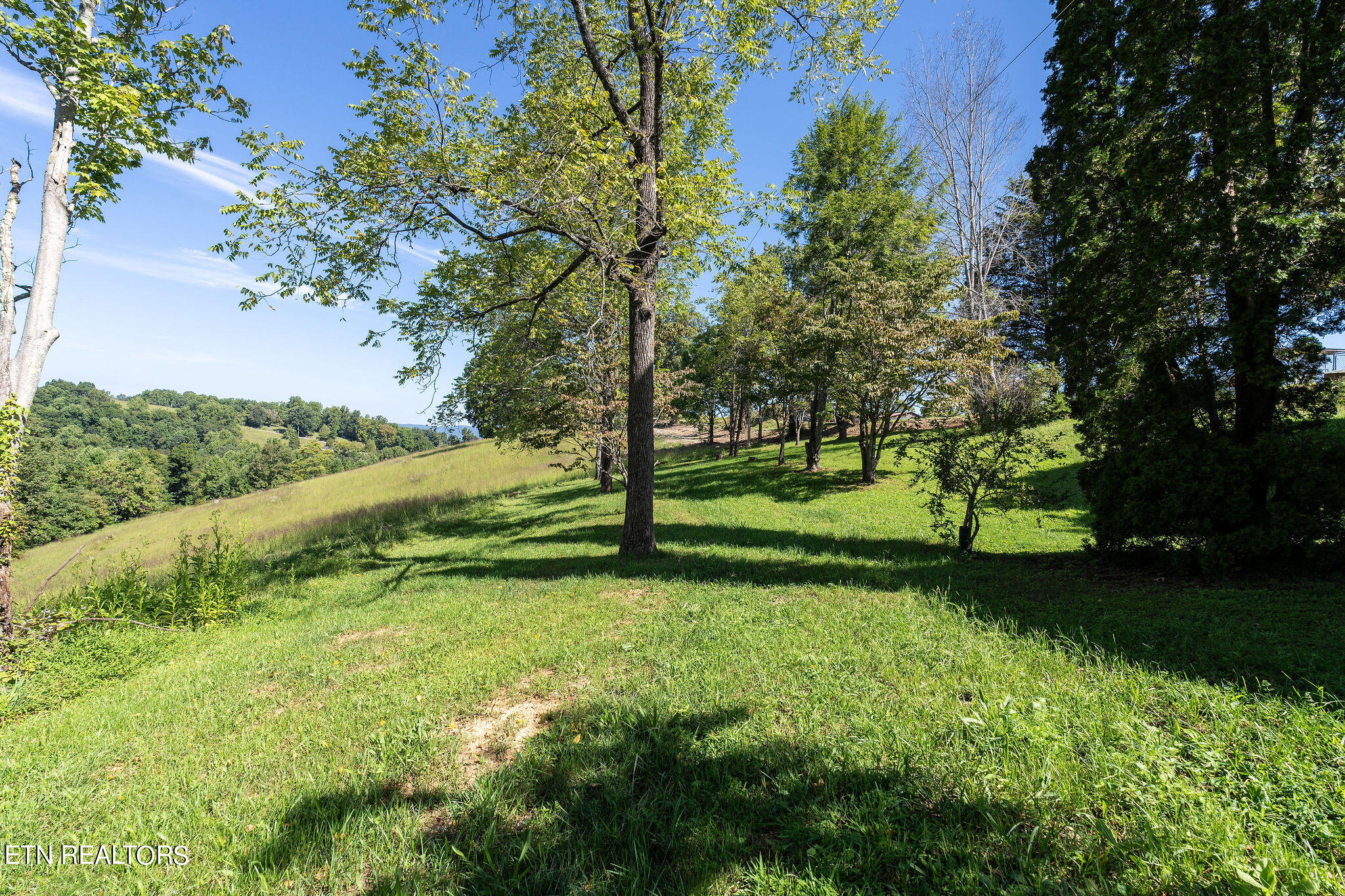 284 John Deere Road Harrogate, TN 37752 - Photo 23 of 60 DSC02468