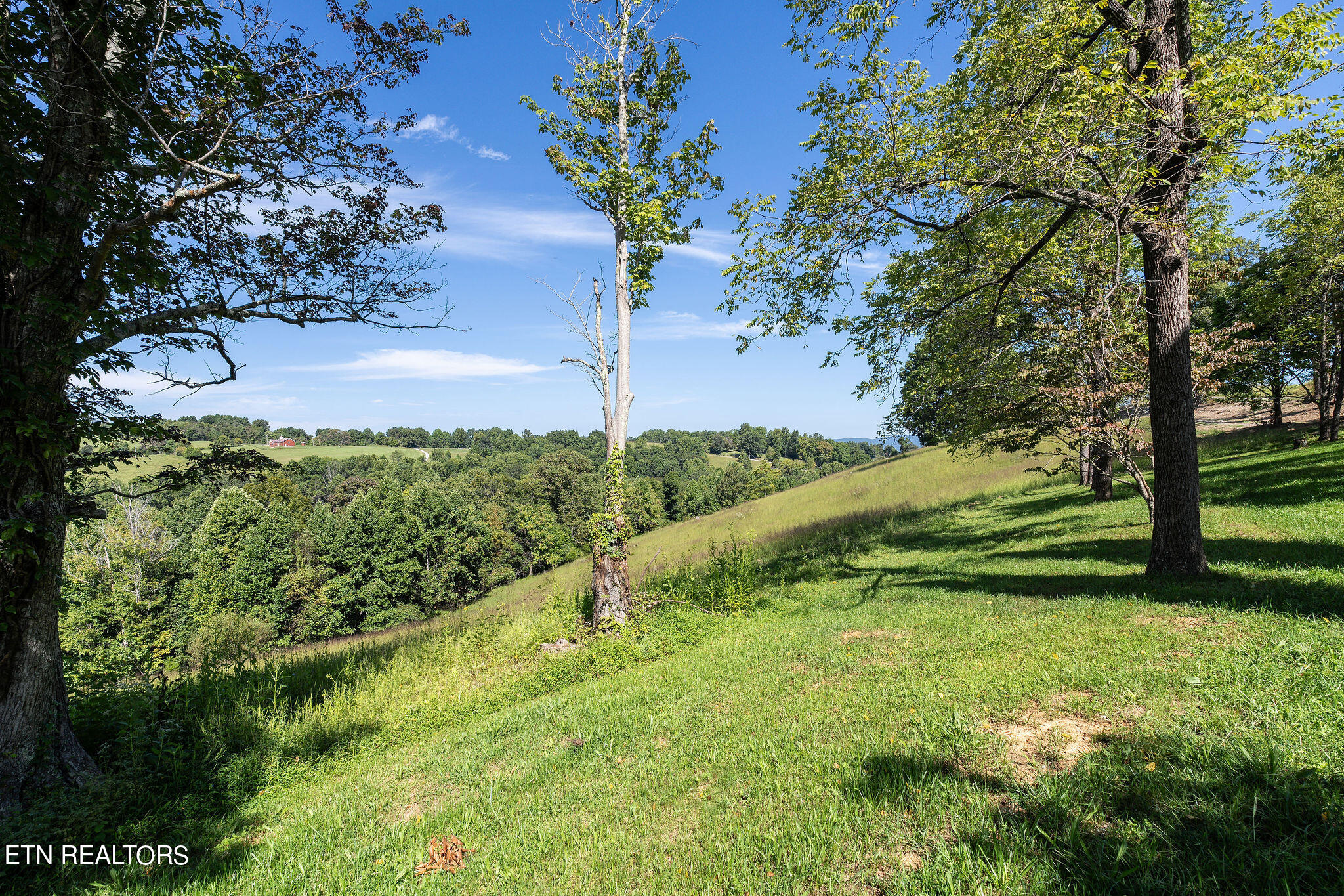 284 John Deere Road Harrogate, TN 37752 - Photo 24 of 60 DSC02472