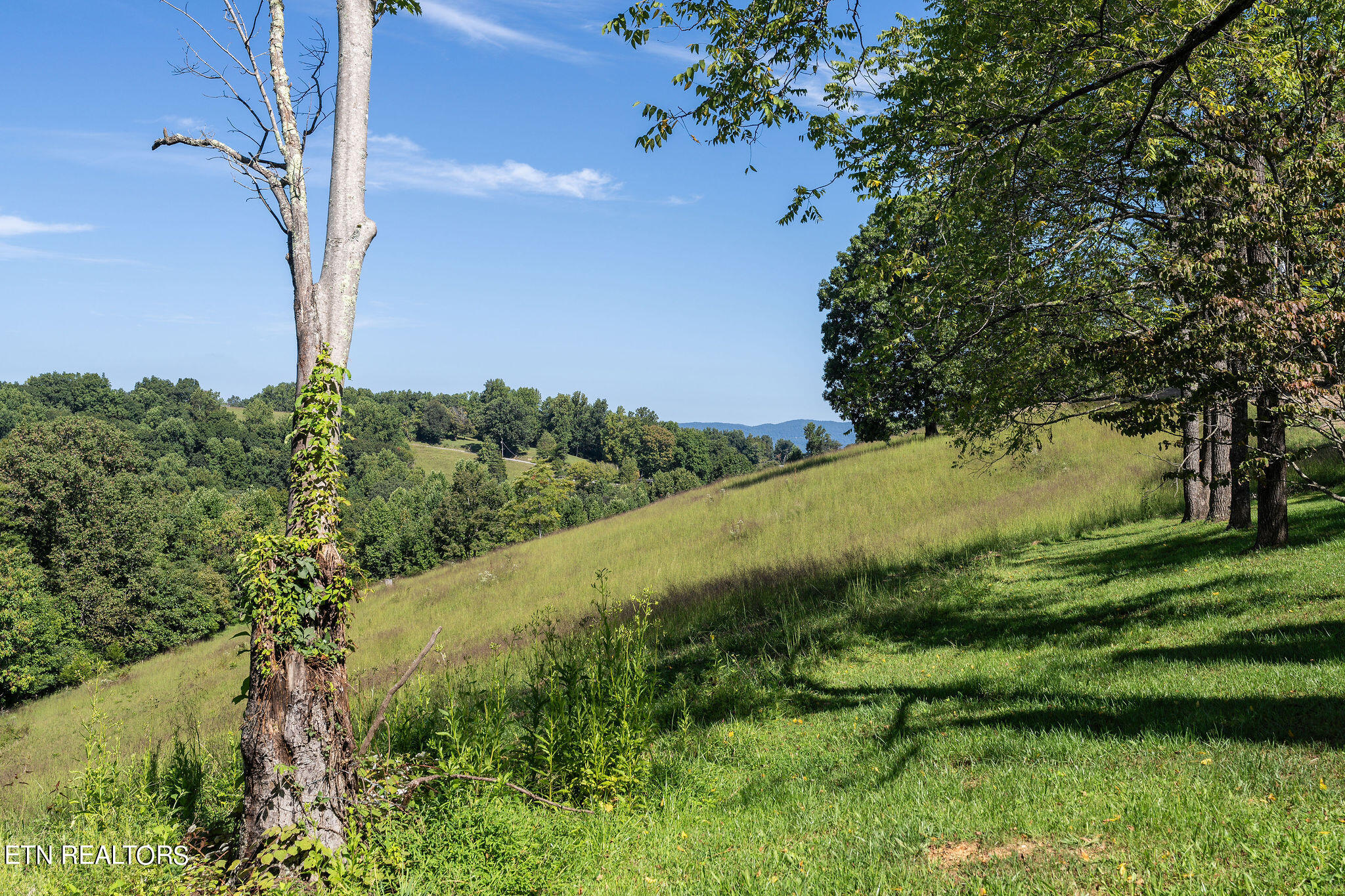 284 John Deere Road Harrogate, TN 37752 - Photo 25 of 60 DSC02476