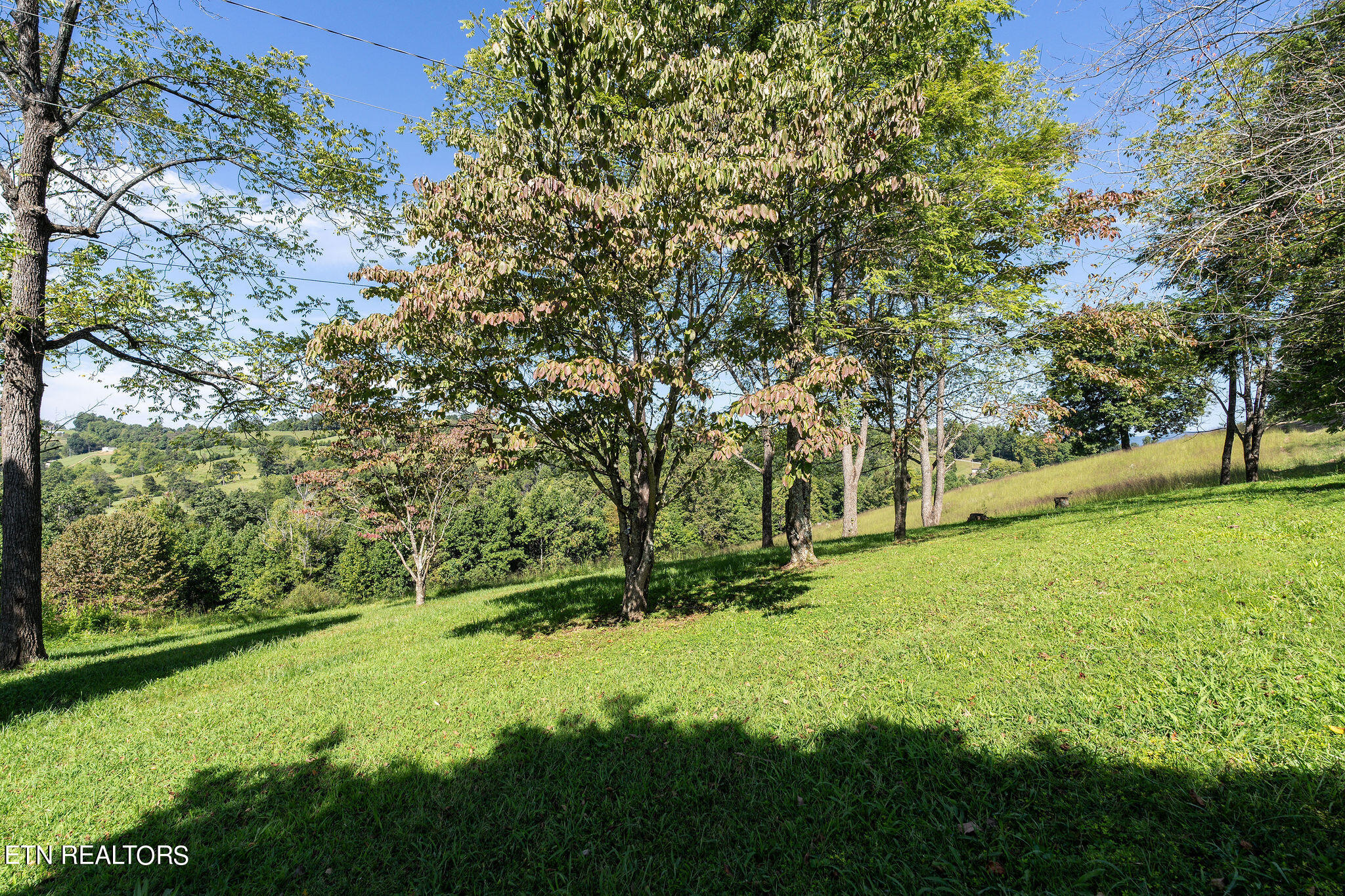 284 John Deere Road Harrogate, TN 37752 - Photo 26 of 60 DSC02480